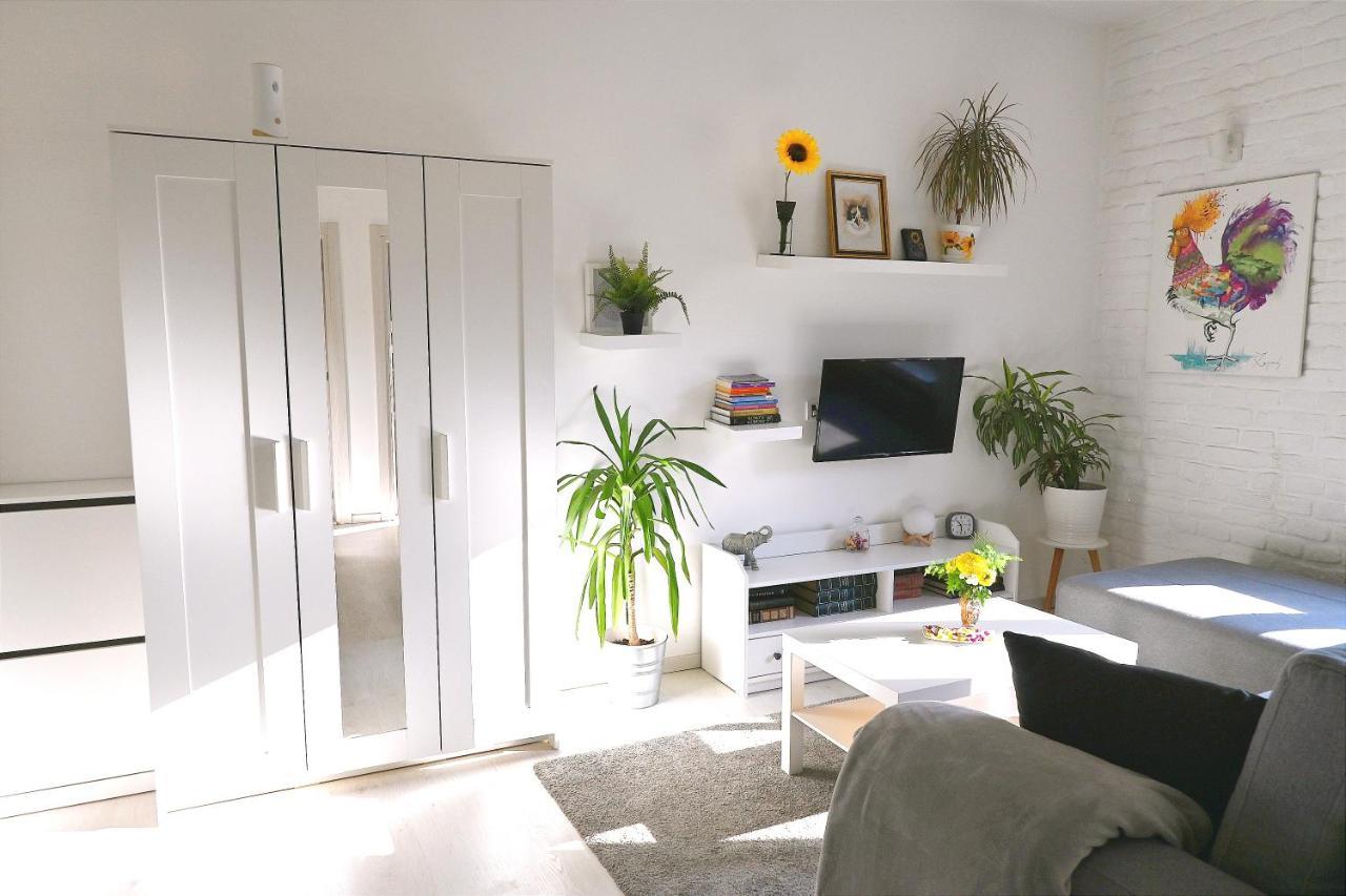 Rooster Apartments 베오그라드 외부 사진